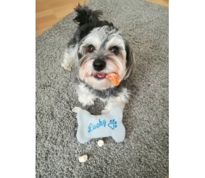 ITH Stickserie - Nikolaus Knochen Tasche für Hunde